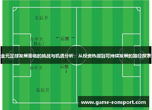金元足球发展面临的挑战与机遇分析：从投资热潮到可持续发展的路径探索