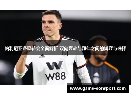 帕利尼亚冬窗转会全面解析 双向奔赴与拜仁之间的博弈与选择